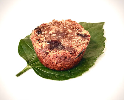 The PUNK bites - pack of 4